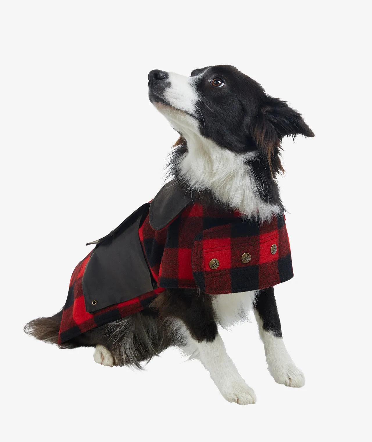 Classic Wool Dog Coat
