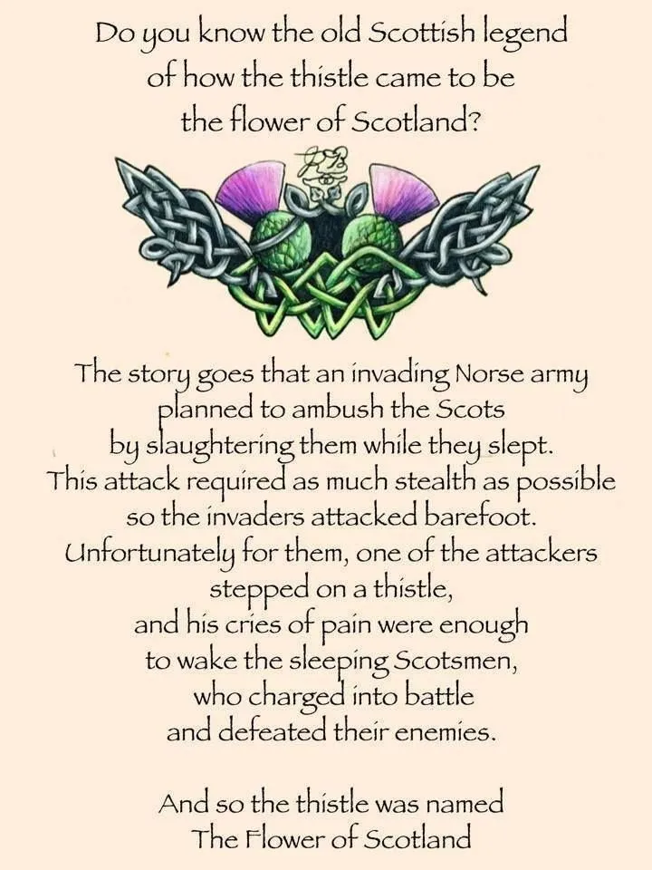 Dalwhinnie Thistle Kilt Pin