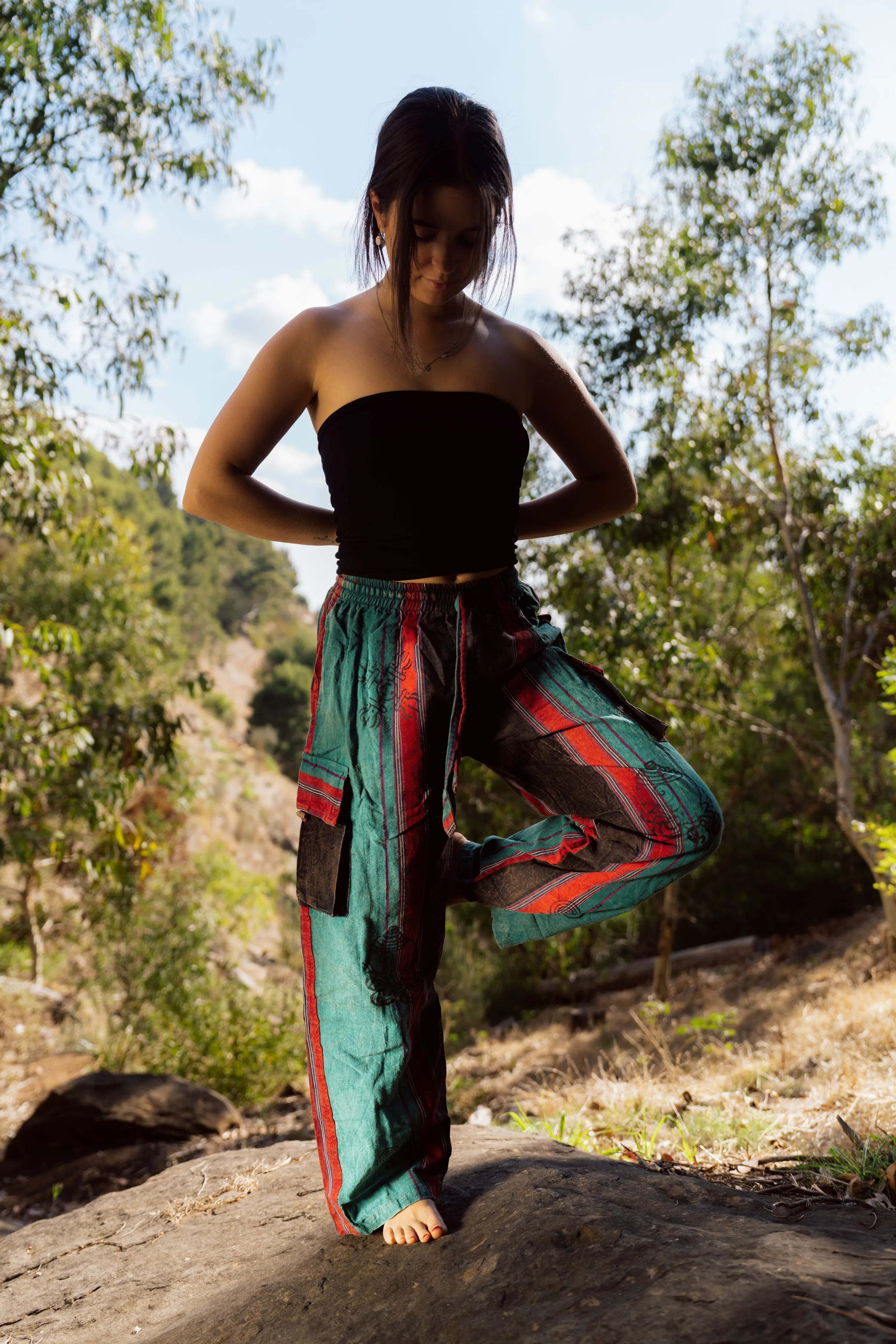 Himalayan Twilight Pants