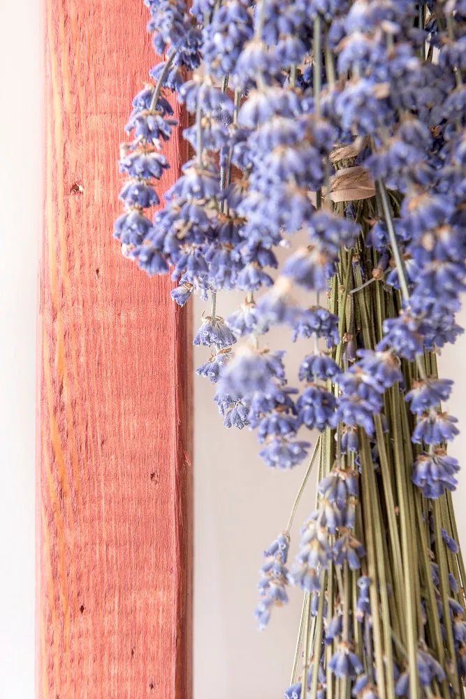 Pacific Redwood - MILK PAINT STAIN