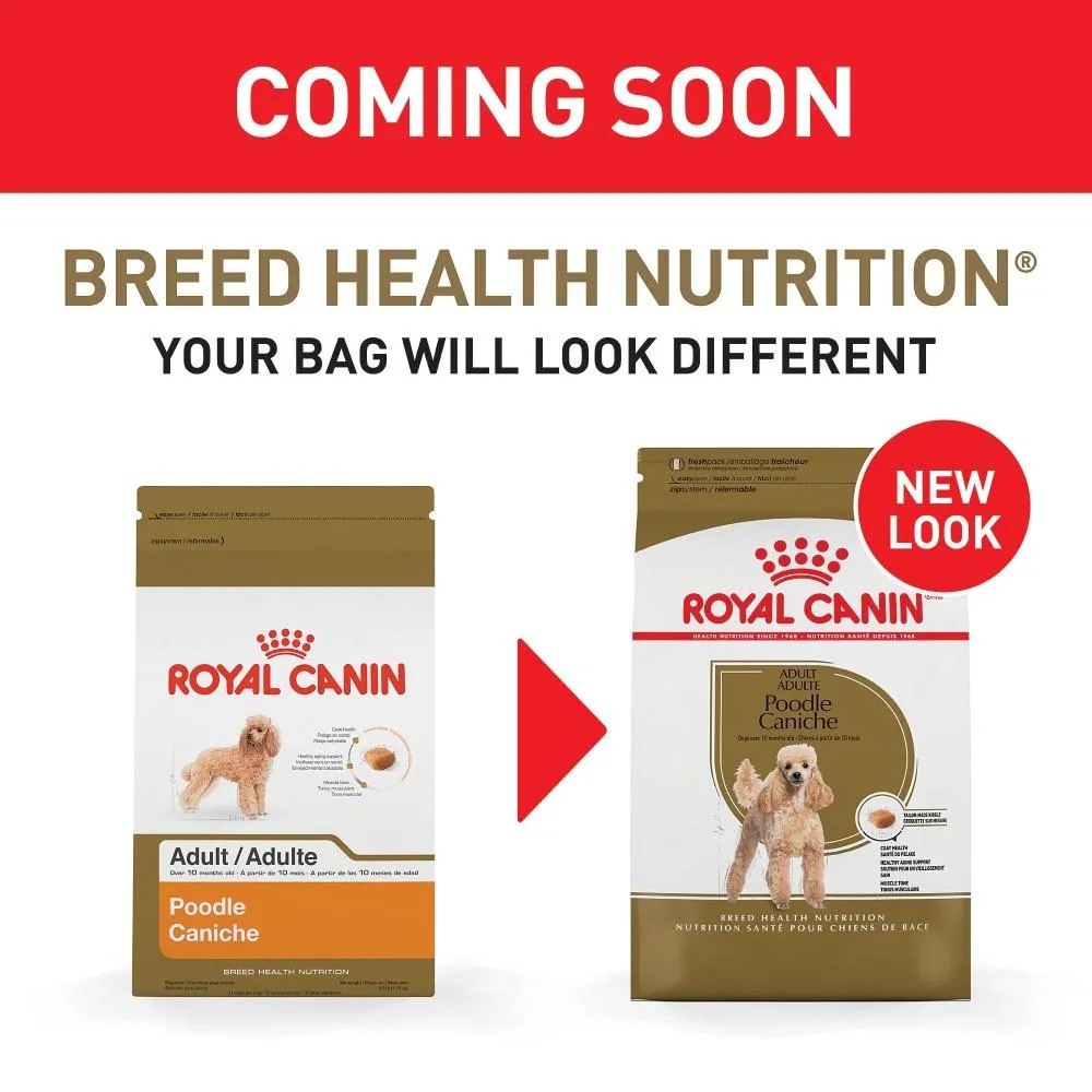 Royal Canin Breed Health Nutrition Poodle Adult Dry Dog Food