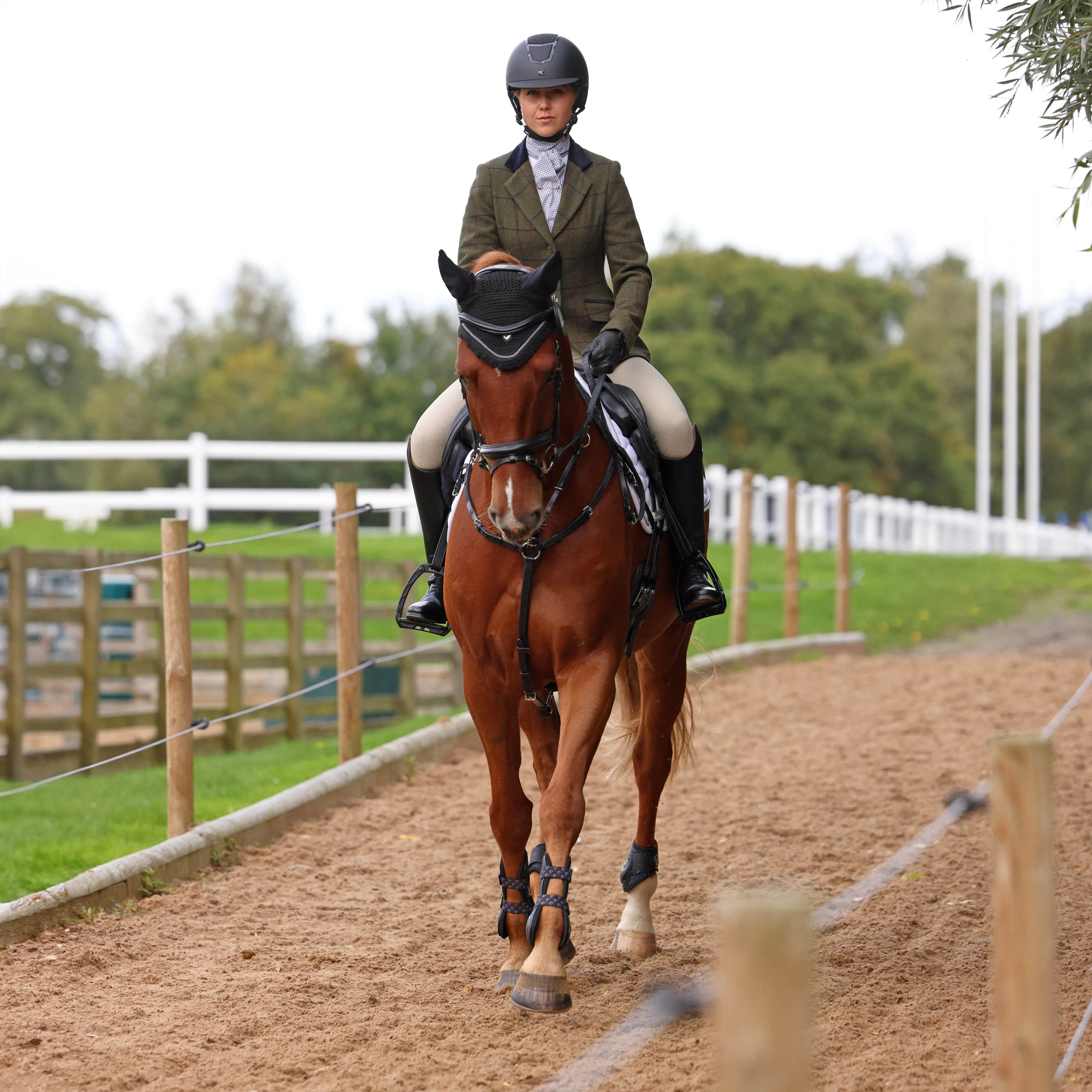 Shires Spruce Green Check Aubrion Saratoga Jacket