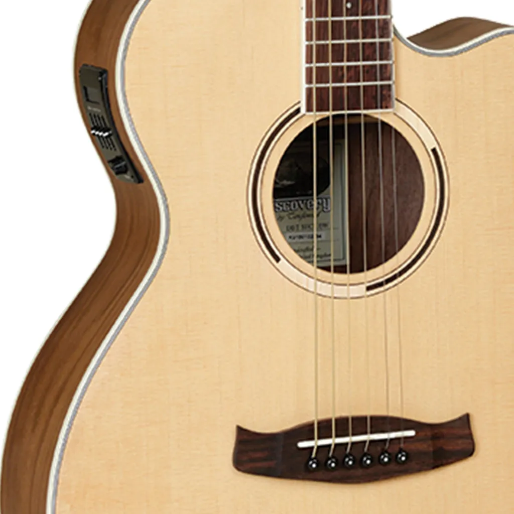Tanglewood Discovery Exotic Superfolk C/E Black Walnut